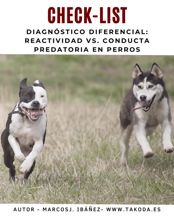 Checklist Diagnóstico