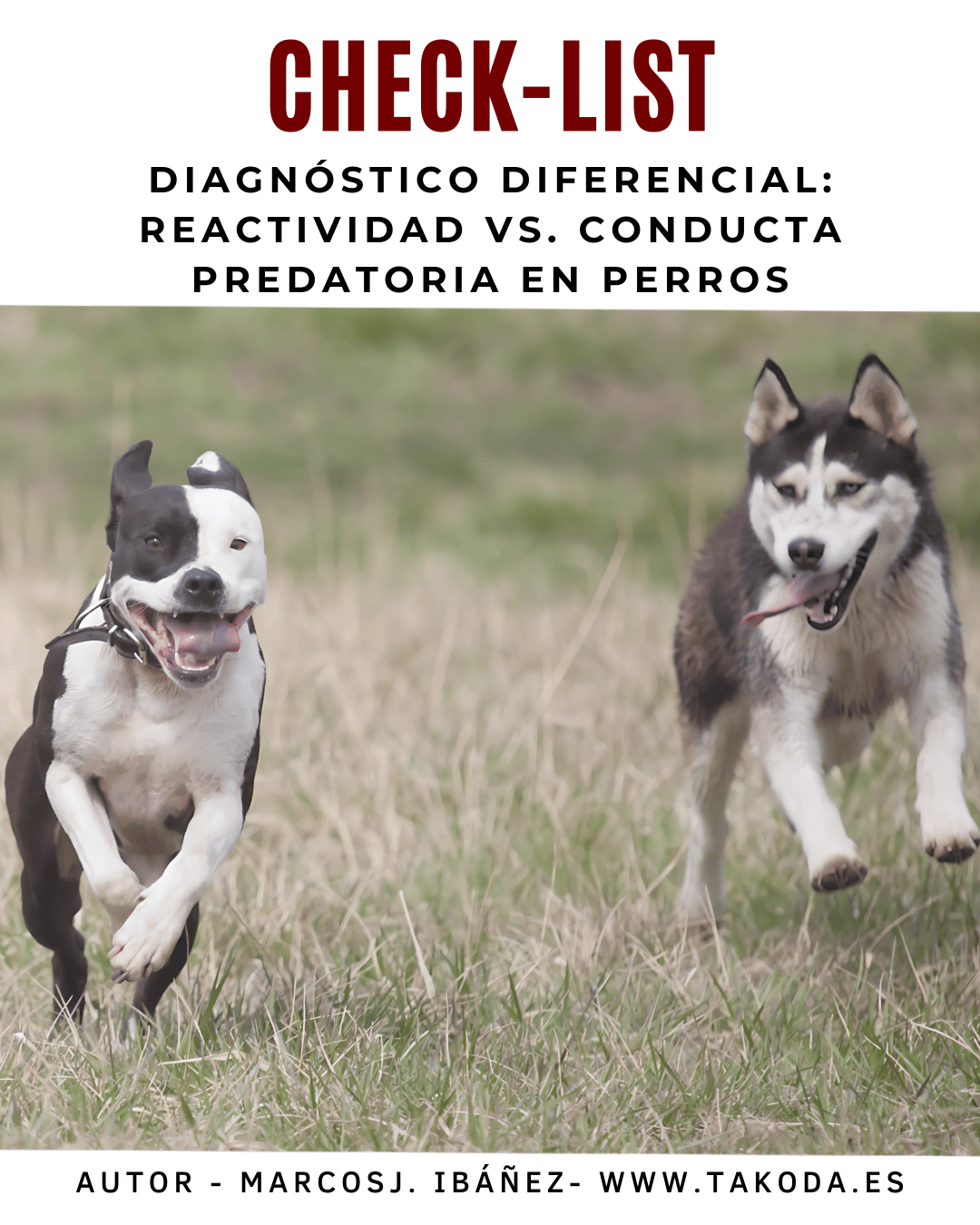 Checklist Diagnóstico