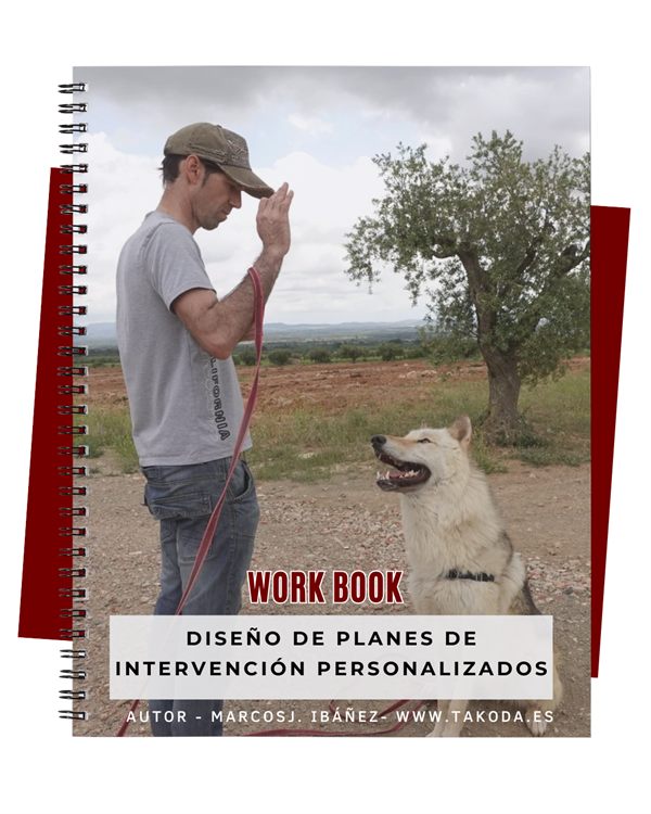 Workbook Planes