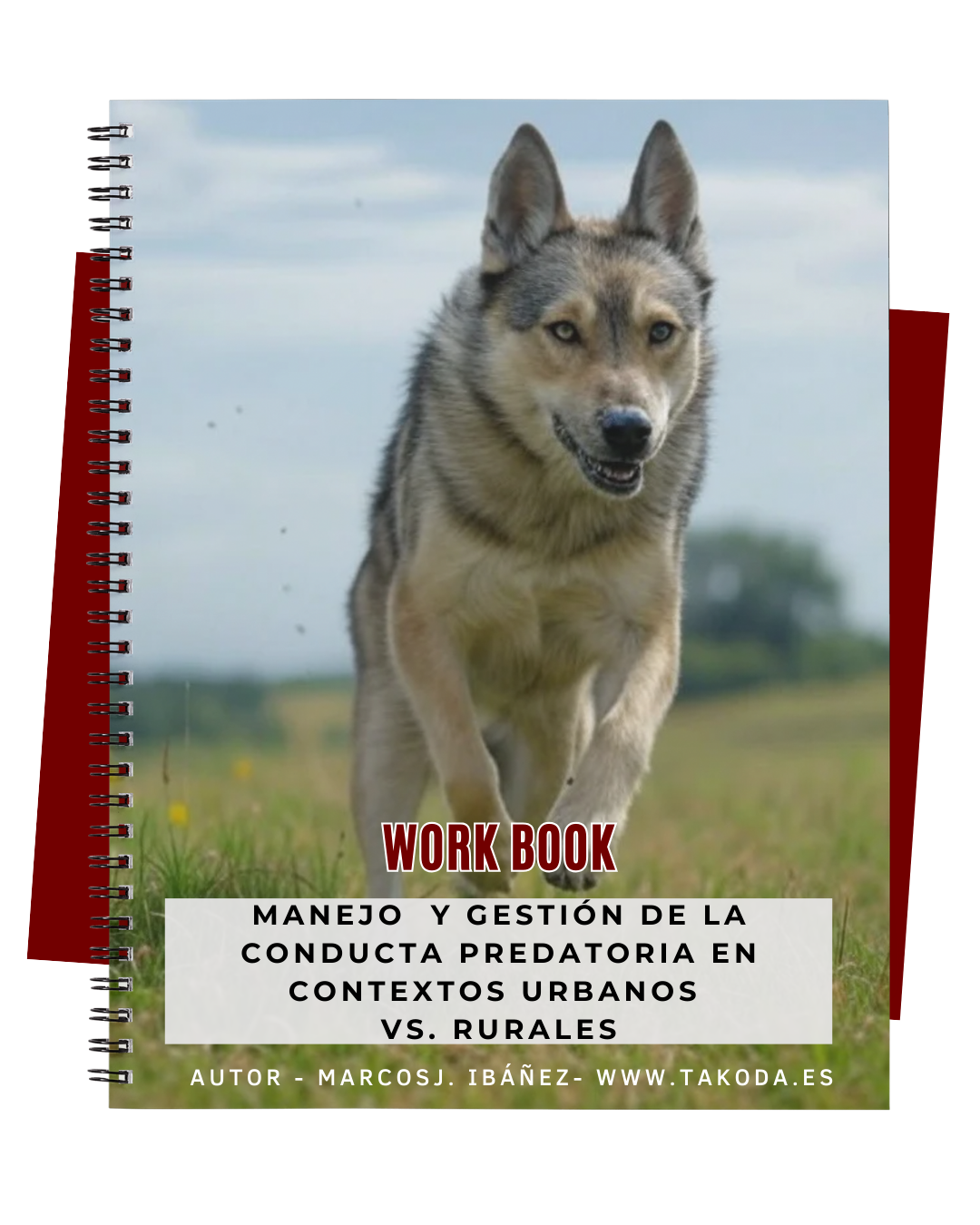 Workbook Urbano/Rural