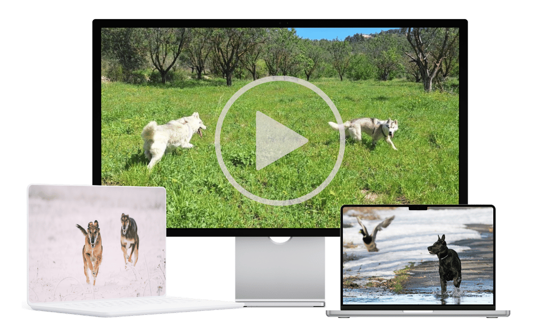 Análisis de vídeos 1