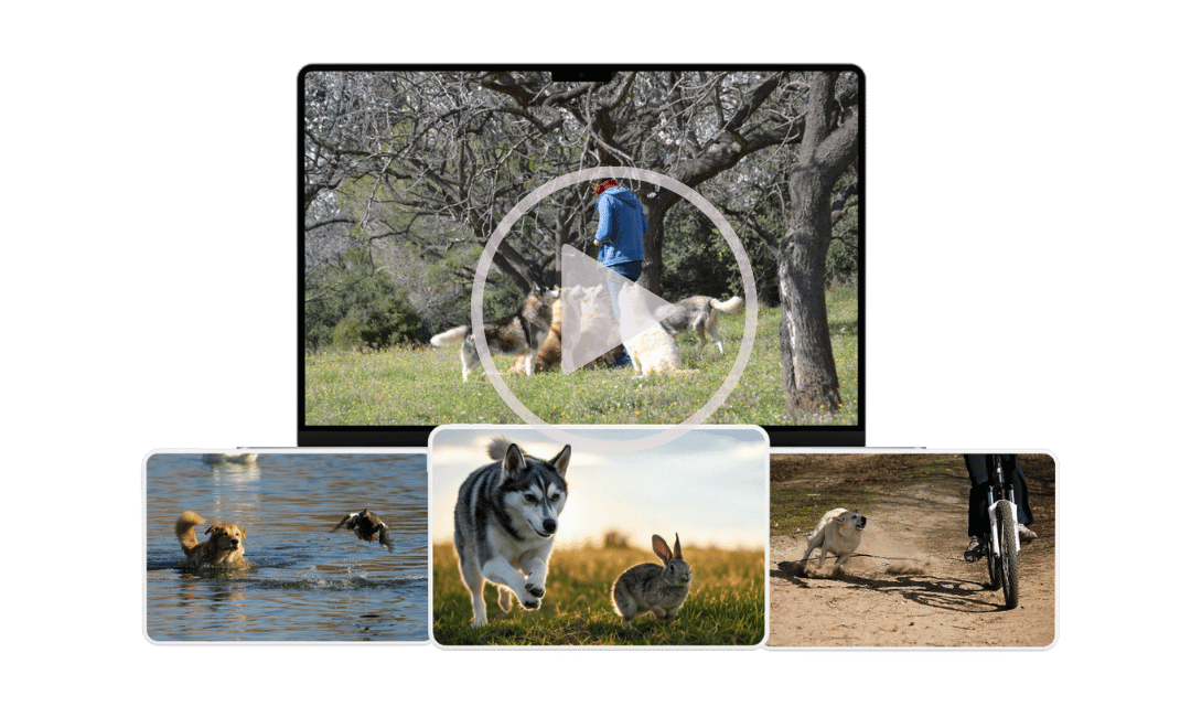 Análisis de vídeos 2