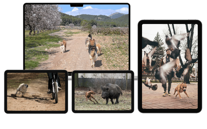 Aplicación práctica en campo