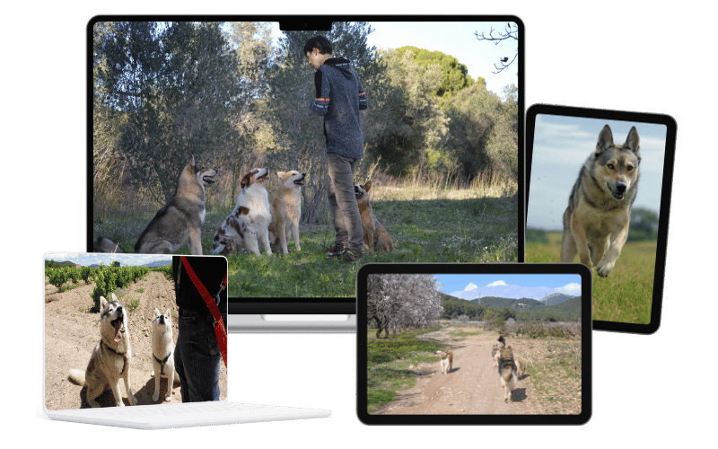 Intervención Comportamiento